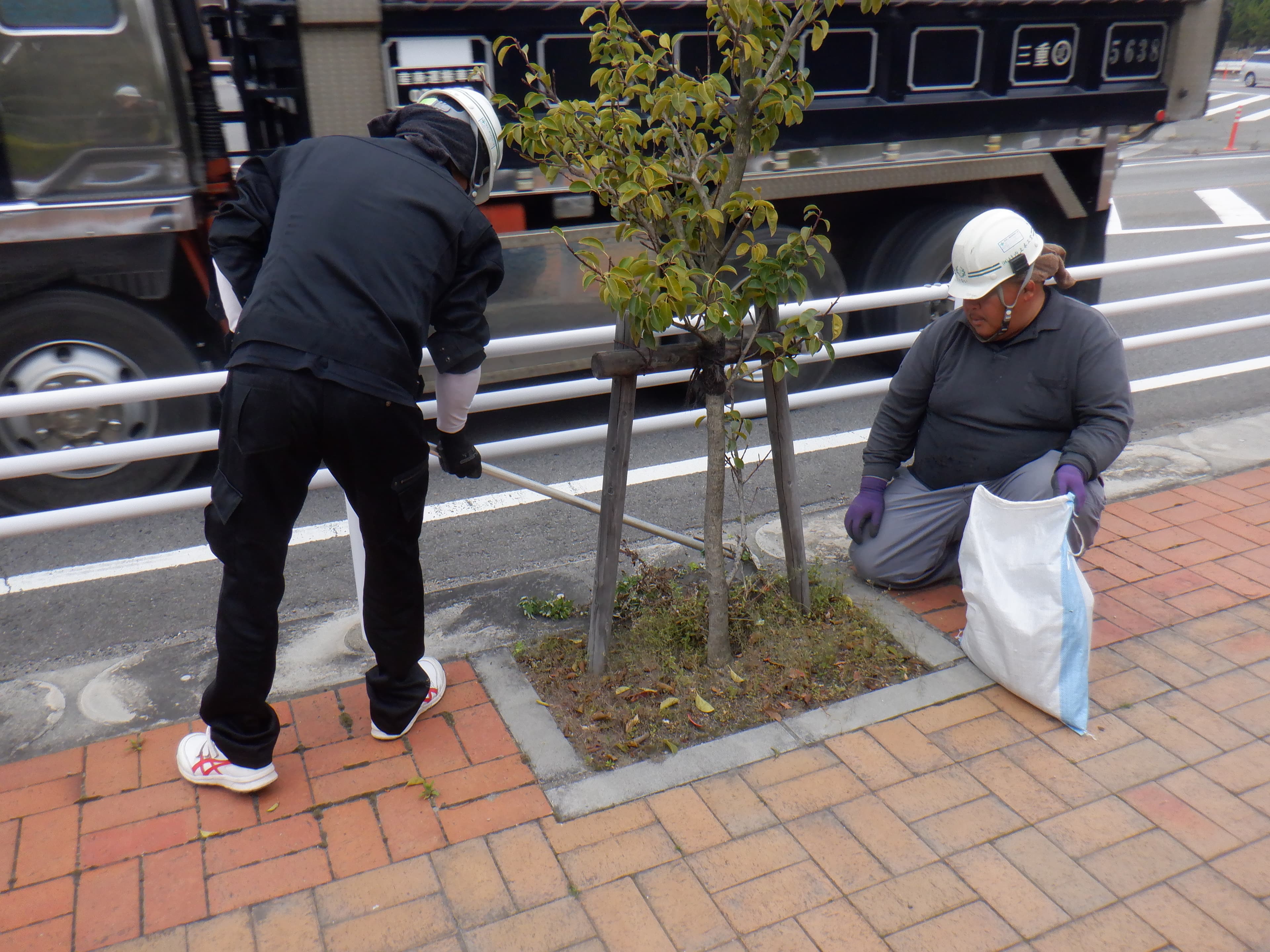 歩道の植栽手入れ