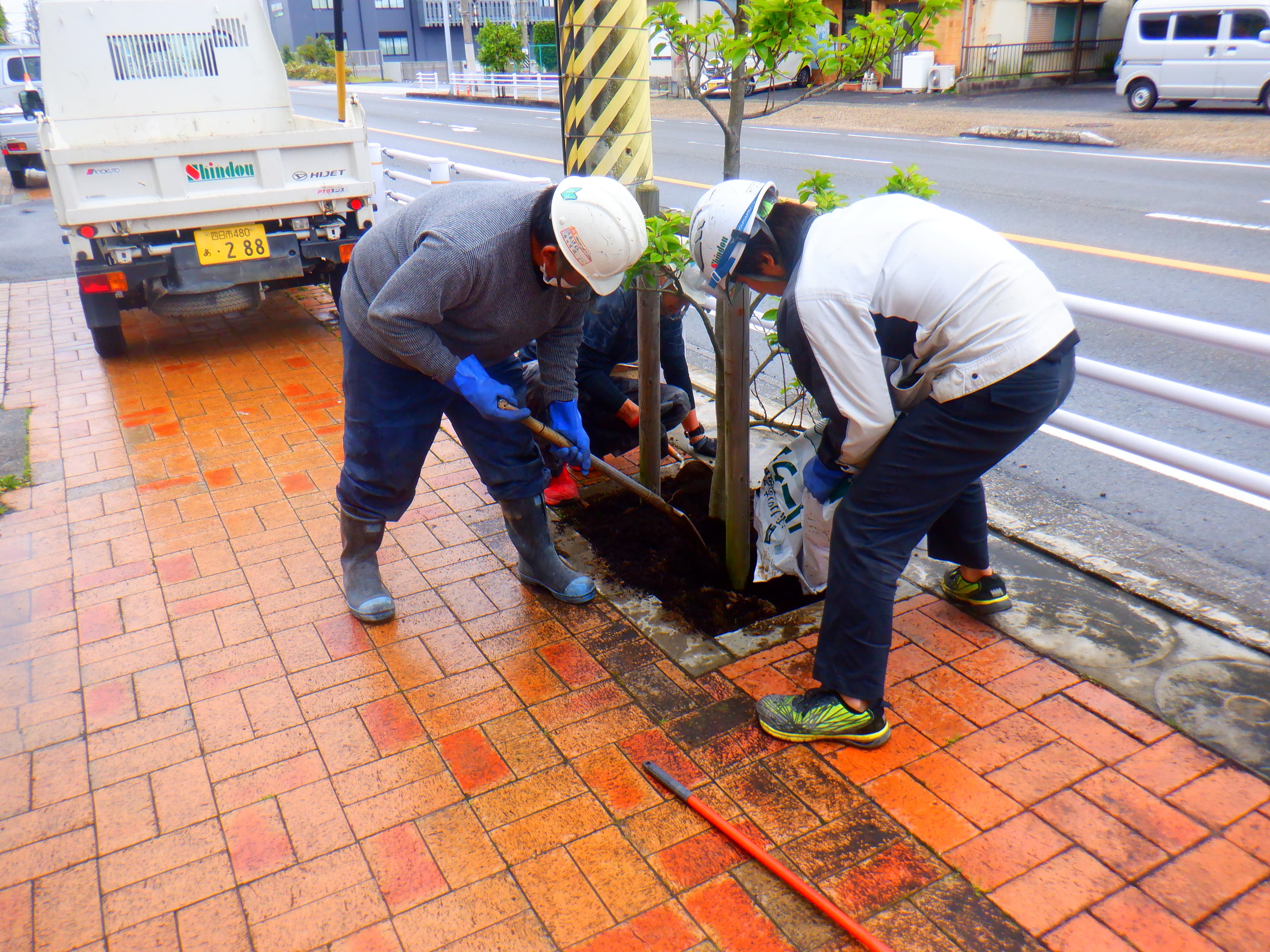 歩道植栽周りの清掃